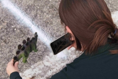 OLYMPUS DIGITAL CAMERA